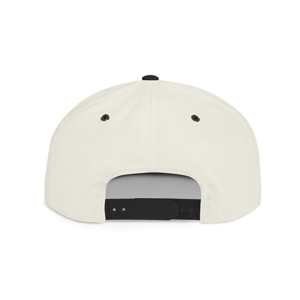 Snapback Hat — "We're All Shades of Brown" Fist Pump Donut Diversity Design BL